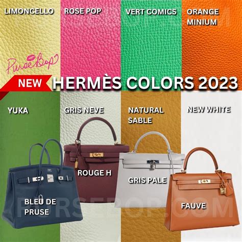 hermes pictures to color|hermes luggage color chart.